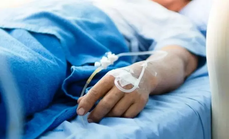 Массовая драка после ДТП в Шымкенте: врачи сообщили о состоянии пострадавшего