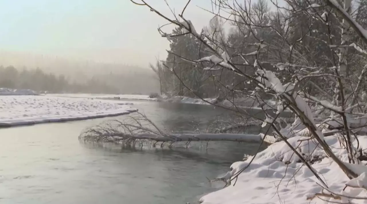 Шығыс Қазақстанда бірнеше күннен бері қар толассыз жауып тұр