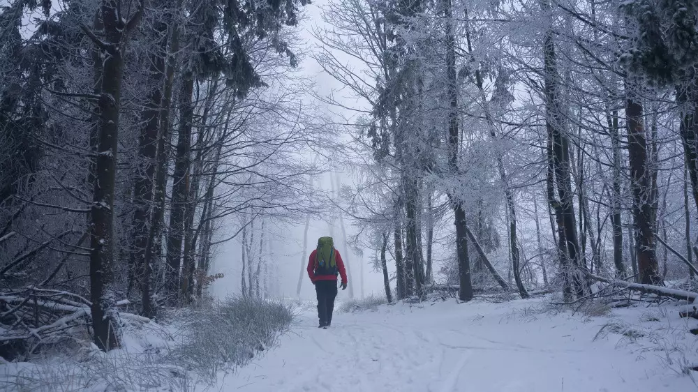 Астану и Алматы затянет туманом: прогноз