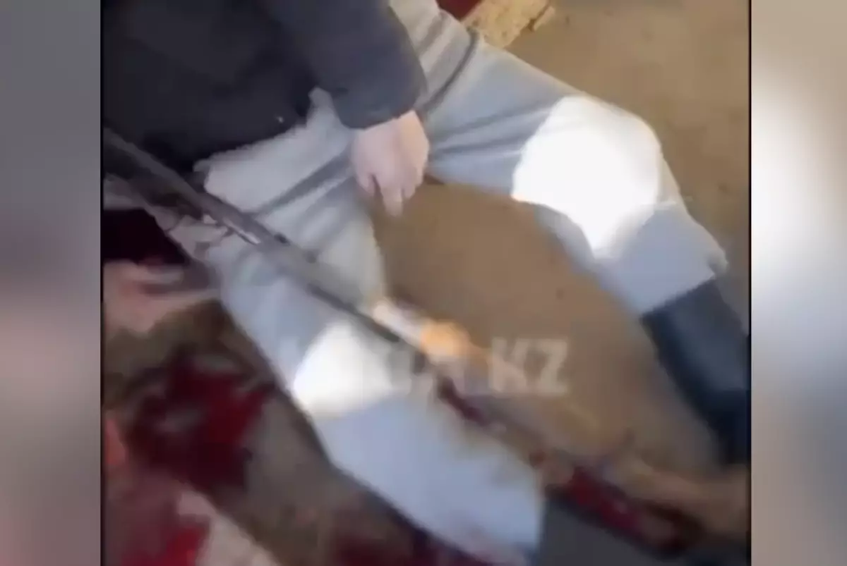 Маңғыстаудағы сұмдық оқиға: қызын зорлаған әке өзіне қол салды (ВИДЕО)