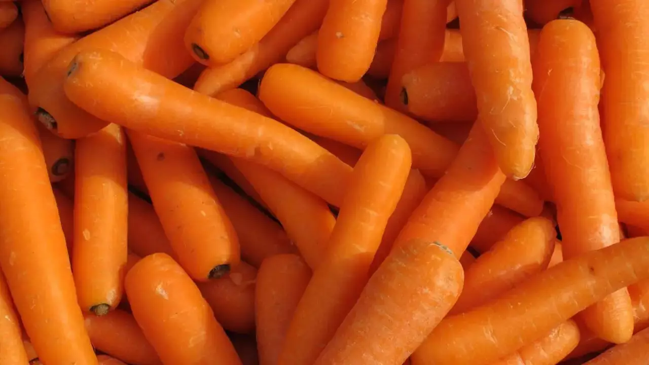 Қазақстан сәбіз экспортына тыйым салмайды: Үкімет нақты себебін атады