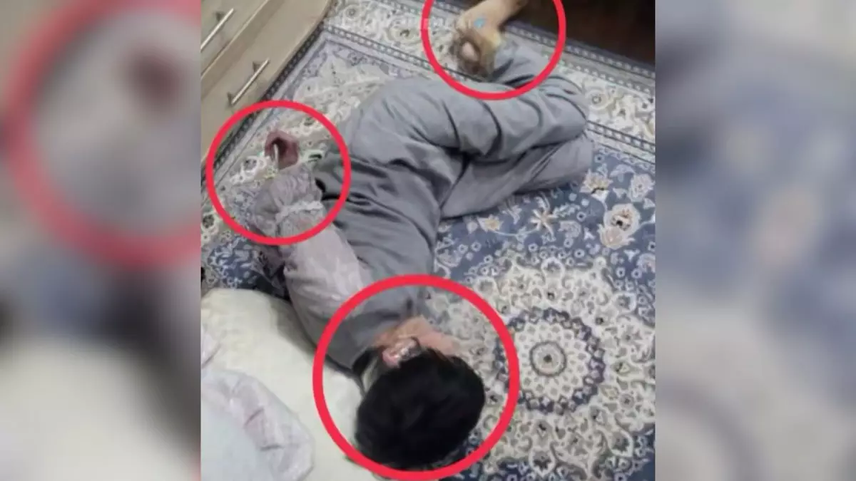 Назгүл мен Құндыз оқиғасы: Жамбылда балалар мен мүгедек қызды азаптаған қамқоршы қамалды