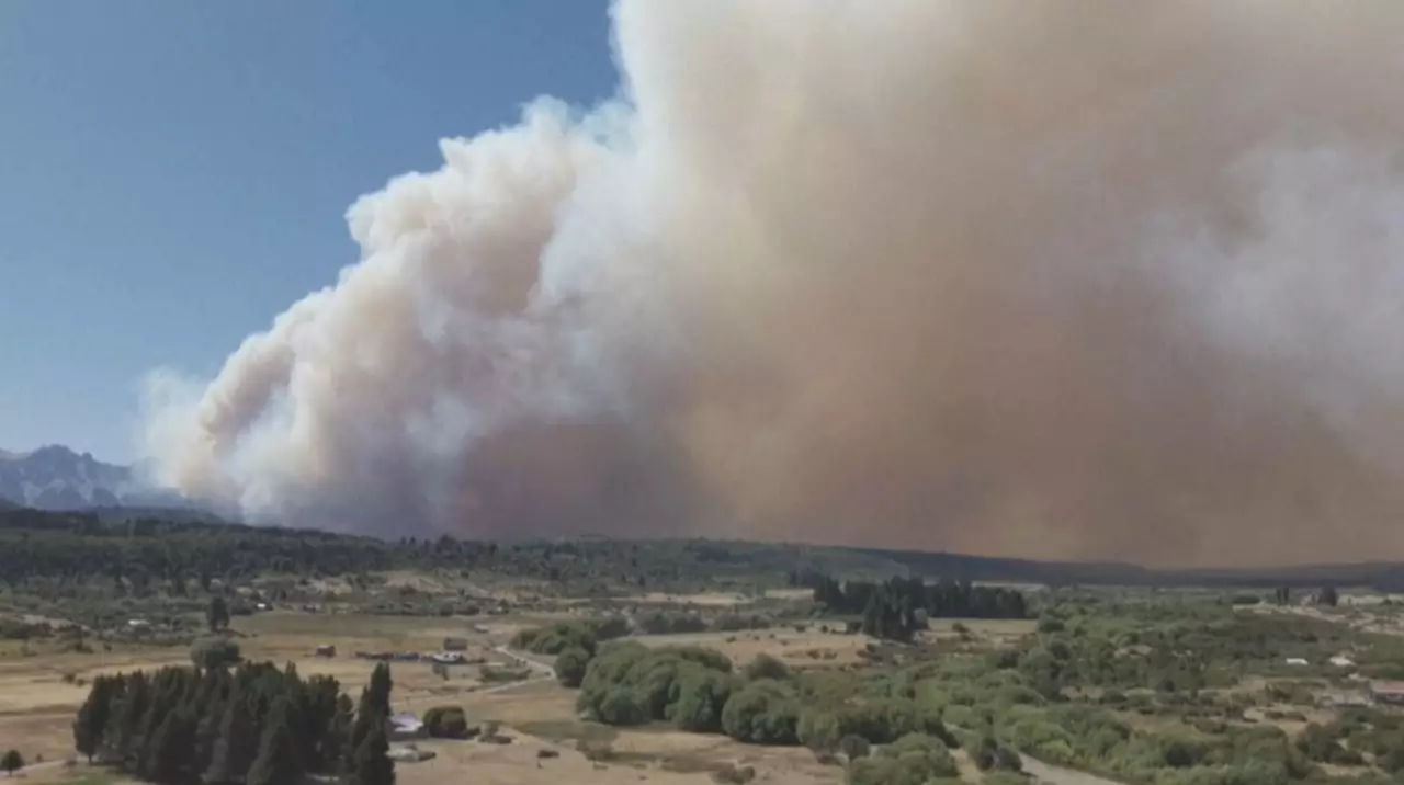 30 тысяч гектаров леса сгорели в Аргентине