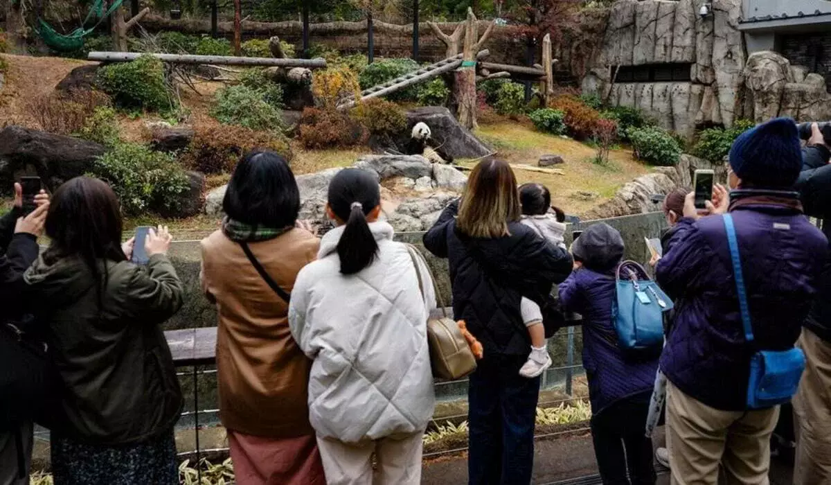 Китай забирает панд из Японии: жители со слезами простились с животными