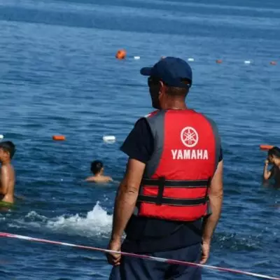 На побережье Алаколя усилят санитарное содержание и развитие туристической инфраструктуры