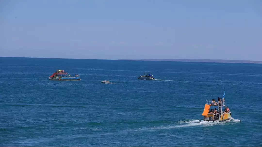 Алакөл жағалауының туристік инфрақұрылымы жақсартылады