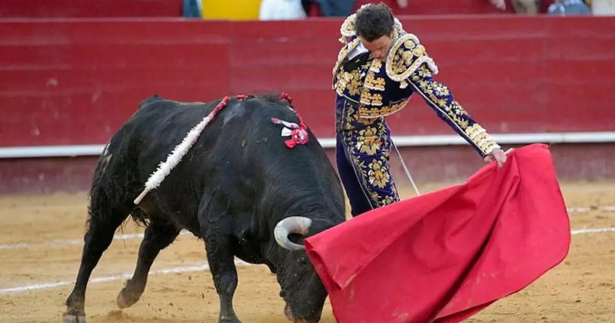  Испанияда балалардың корридаға баруына тыйым салынуы мүмкін 