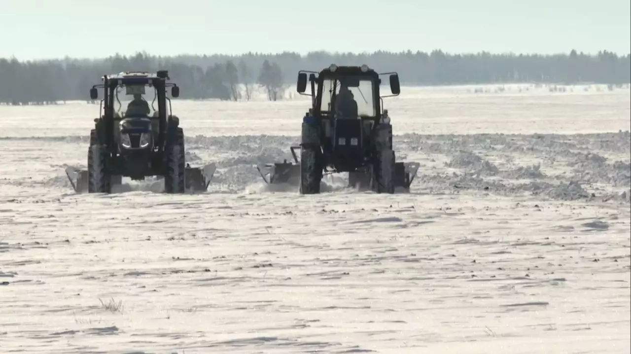 Ақмолалық диқандар қар тоқтатып жатыр