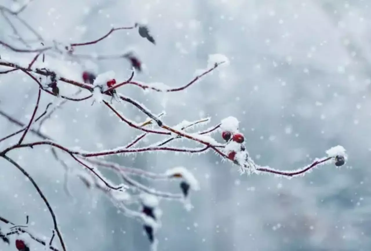 Какую погоду прогнозируют синоптики в Казахстане