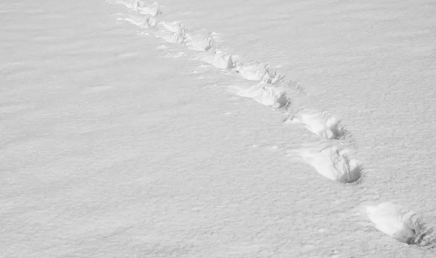 Осадки ожидаются в среду в большинстве регионов Казахстана