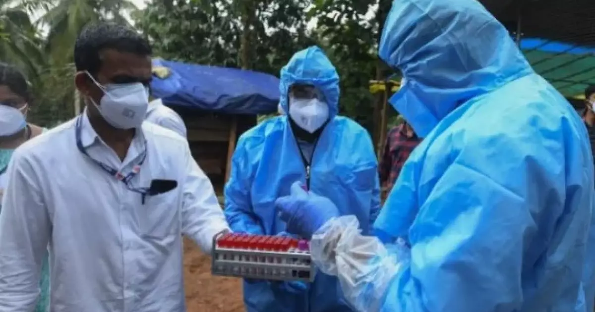  `Ми ісініп кетеді`: Қытайлық дәрігерлер Нипах вирусының қауіп-қатерін айтты 