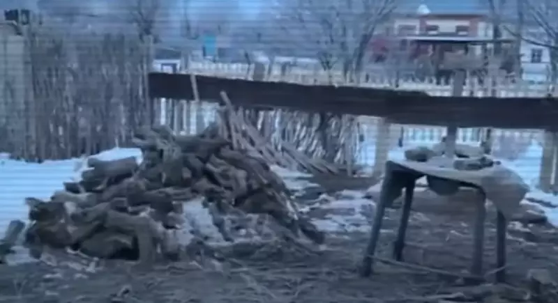 Незаконную вырубку саксаула организовали в казахстанском заповеднике