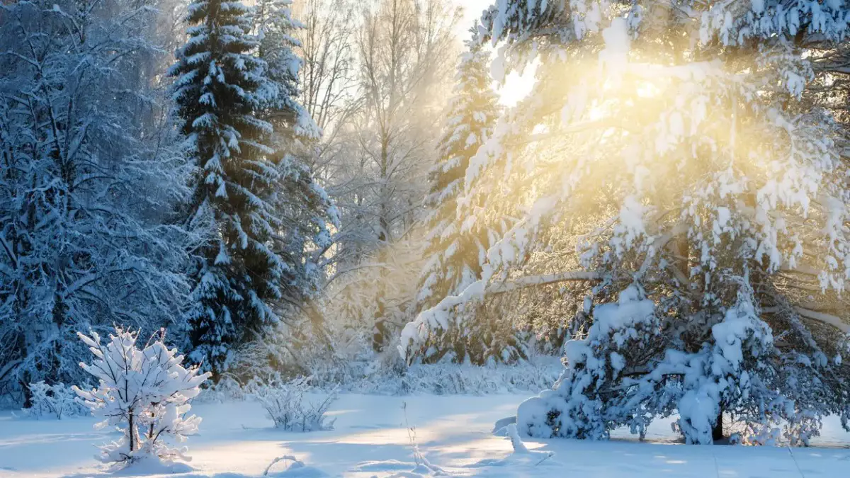 Аяздың беті қайтады: алдағы күндерге арналған ауа райы болжамы жарияланды