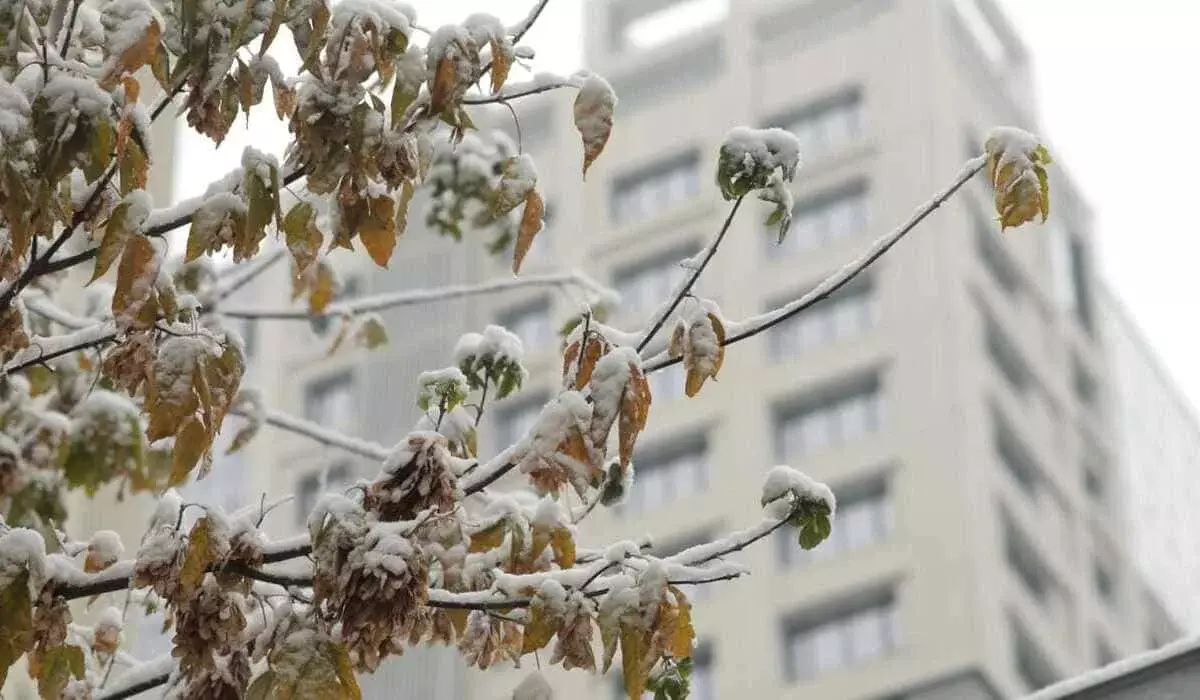 Январь в Казахстане завершится потеплением – прогноз синоптиков