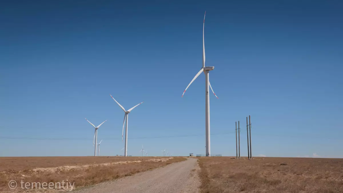Қазақстан мен Қытай ірі “жасыл” жобаларды бірлесіп іске асырады