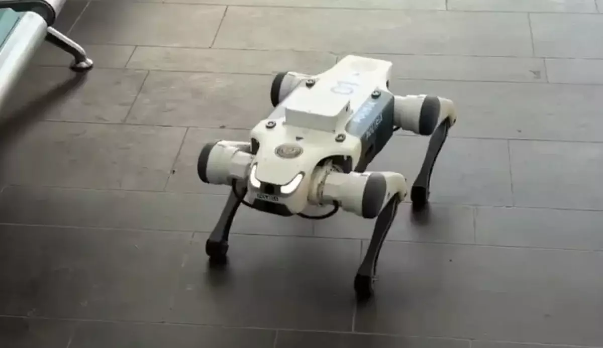 Роботы-собаки вышли на охоту за нарушителями в Астане