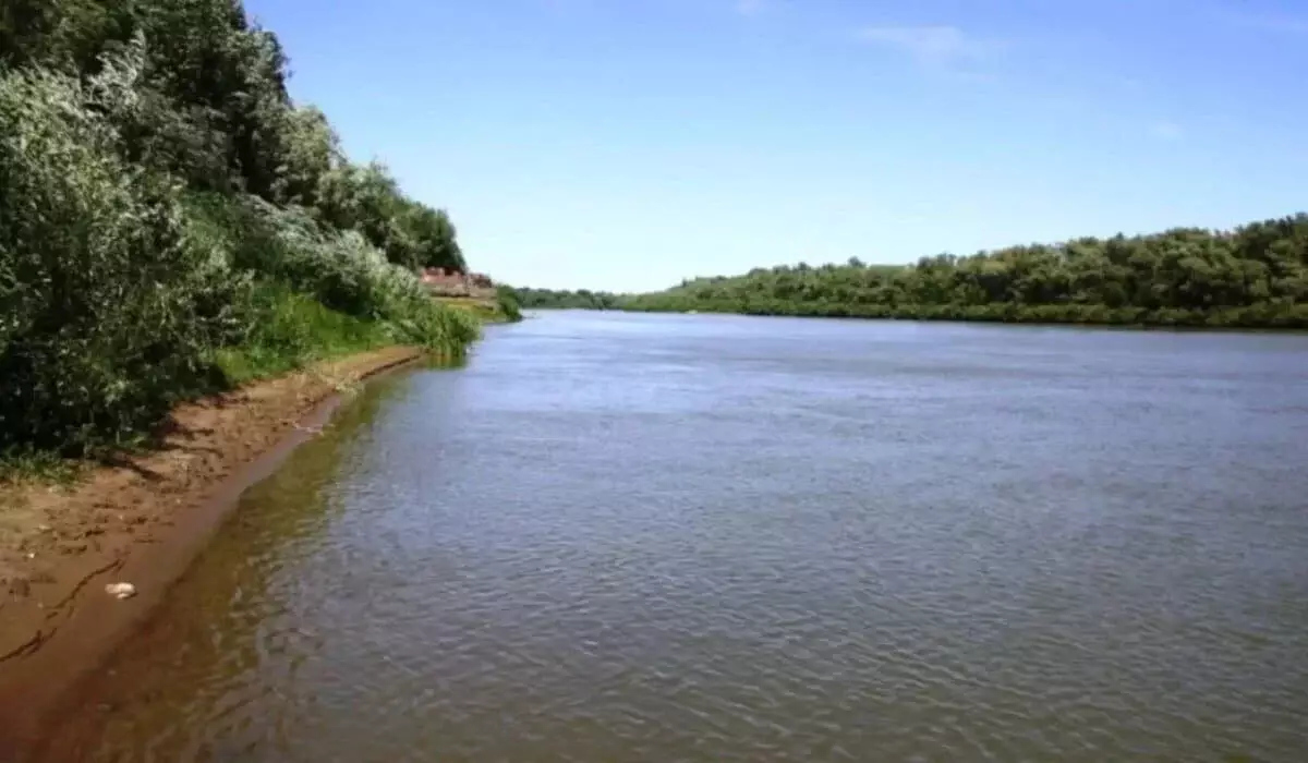 Депутат заявил об угрозе рыболовству из-за обмеления устьев Жайыка и Кигаша в Атырауской области