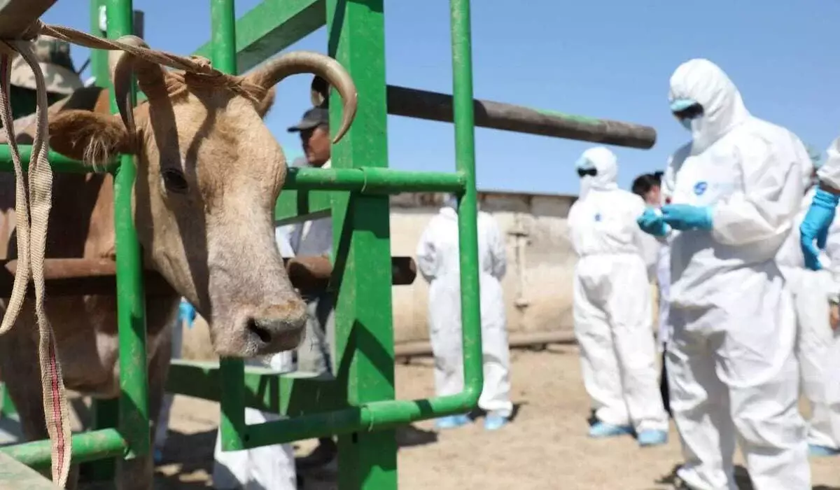 Повысить стипендии студентам сельскохозяйственных и ветеринарных направлений предложили в РК