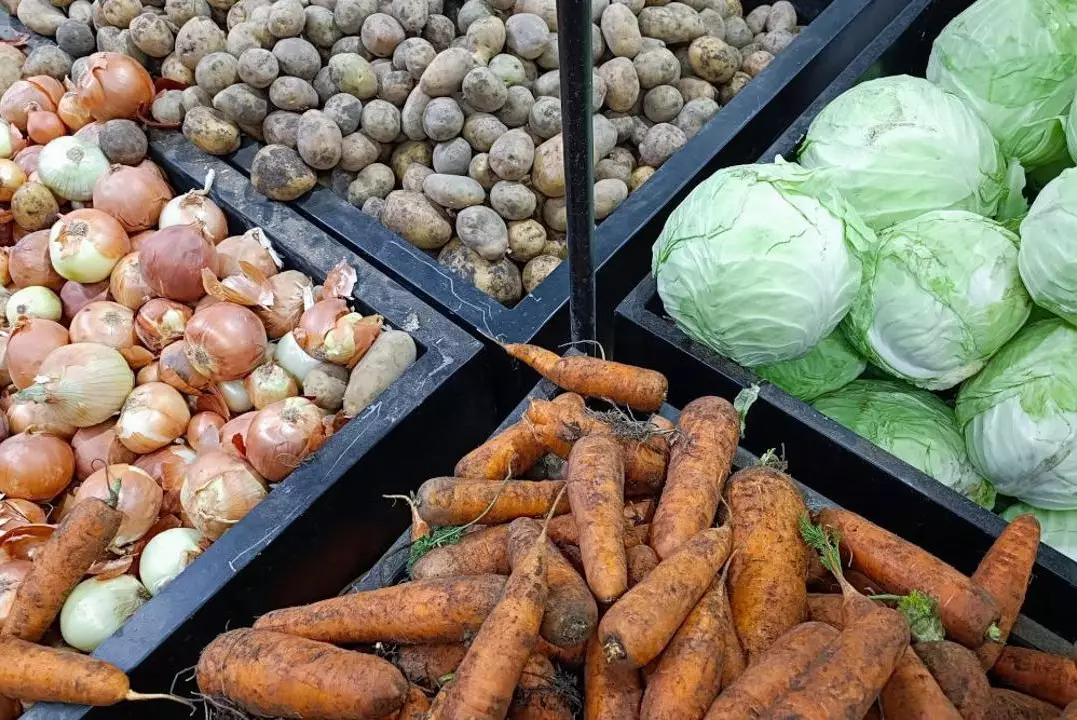 Картофель, мясо и молоко удержат от подорожания за счет льготных займов