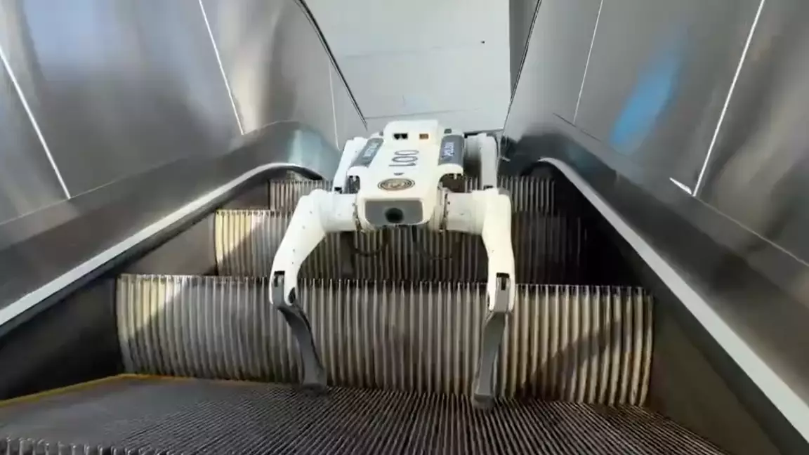 Енді астаналықтарды қоғамдық орындарда полицияның робот иті бақылайды