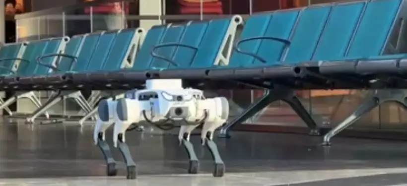 Полиция показала, как "робопсы" патрулируют улицы Астаны