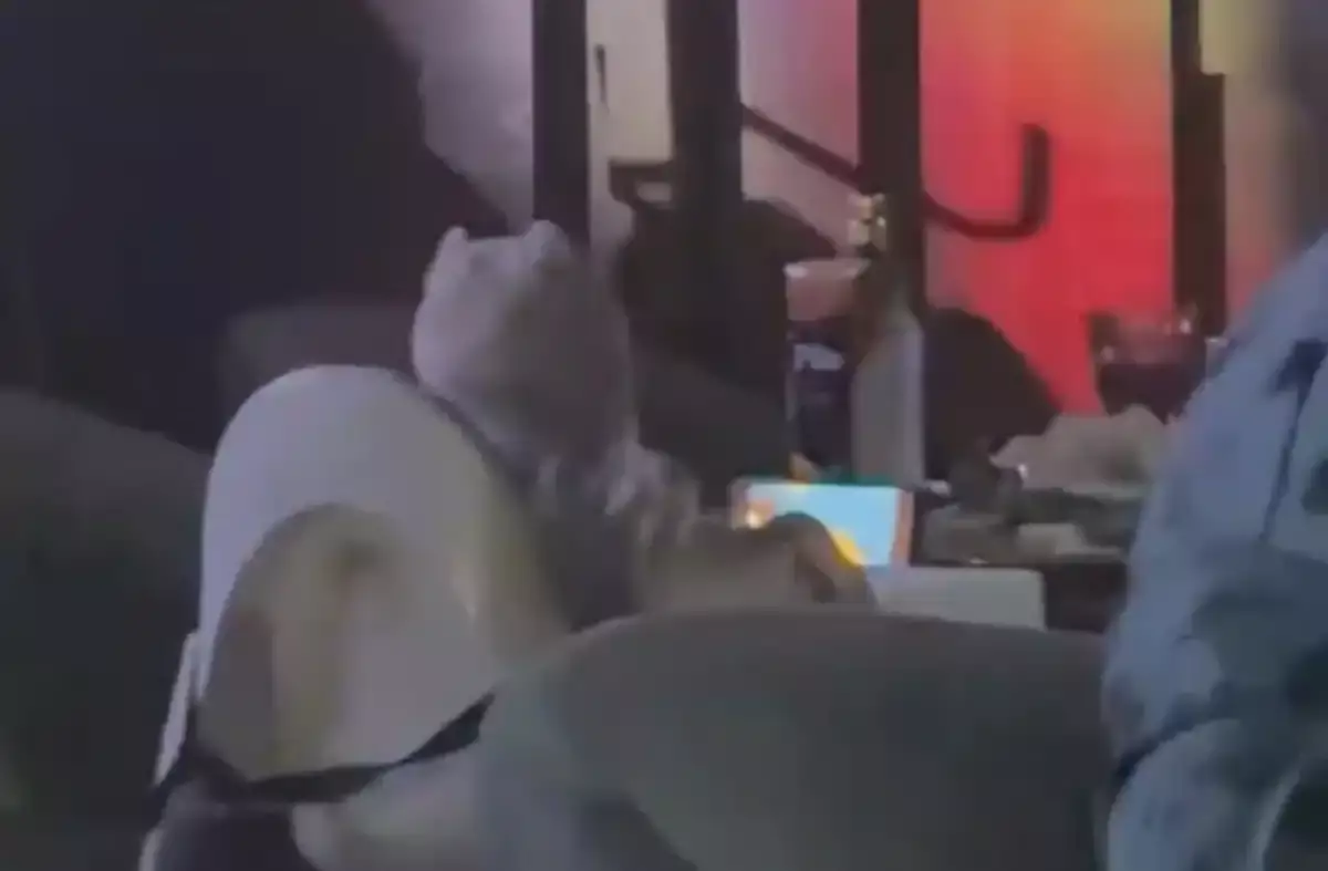 Астанада түнгі барға сәбиімен барған әйел желіні шулатты