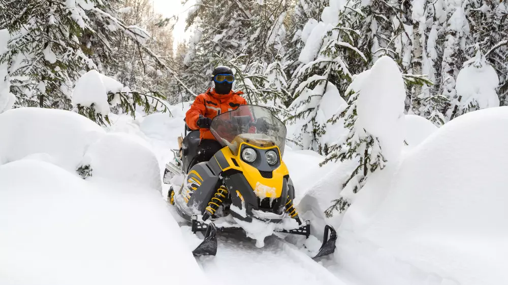 Мигранттарды қарда жүретін көліктермен кіргізген: ІІМ арнайы операция жүргізді
