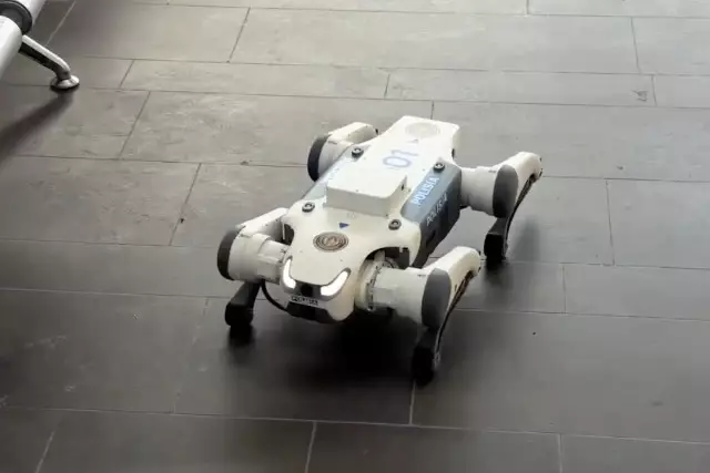 Астананың ірі сауда орталықтарын робот-иттер патрульдеп жүр (ВИДЕО)