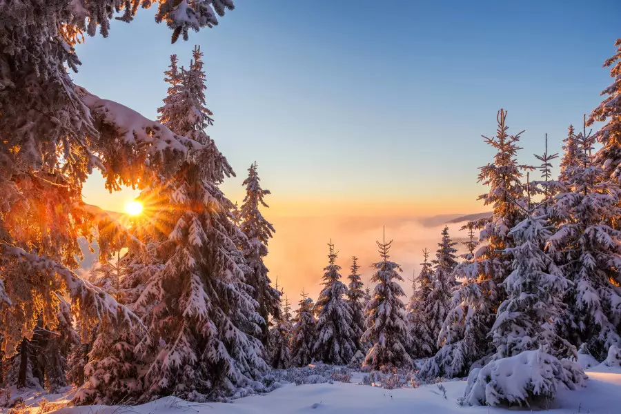 Аяз басылады: үш күнге арналған ауа райы болжамы