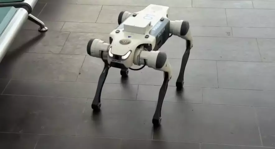 В Астане роботы-собаки начали патрулировать ТЦ и вокзалы