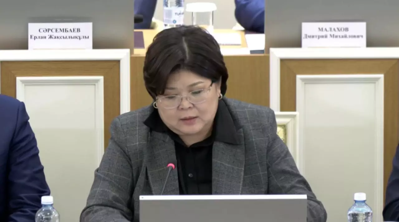 Ата Заң мәтінінің 84 пайызы өзгеруі мүмкін