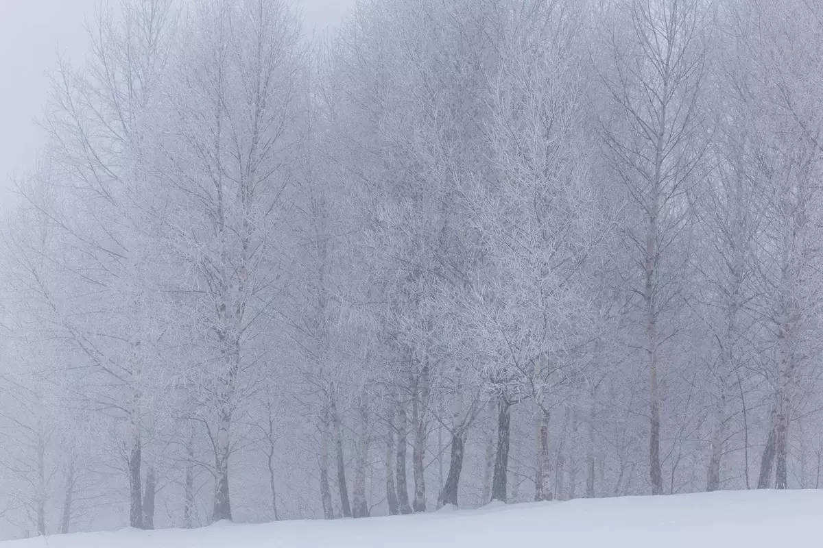 По всему Казахстану объявлено штормовое предупреждение на 29 января