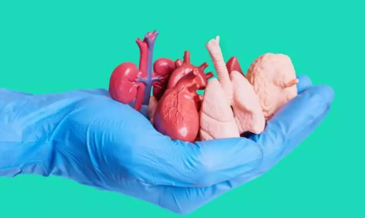 Жүрек, бауыр, бүйрек: павлодарлық әйел мәйіттік донор болды