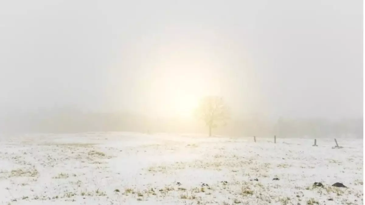 Тұман түсіп, көктайғақ болады - синоптиктер ескерту жасады