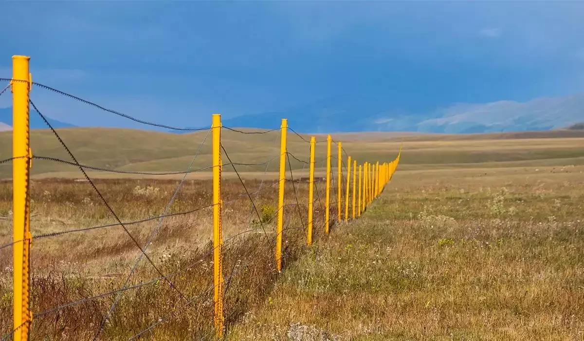 Шекараны заңсыз кесіп өткен: Қазақстанның бірқатар өңірінде шетелдіктер ұсталды