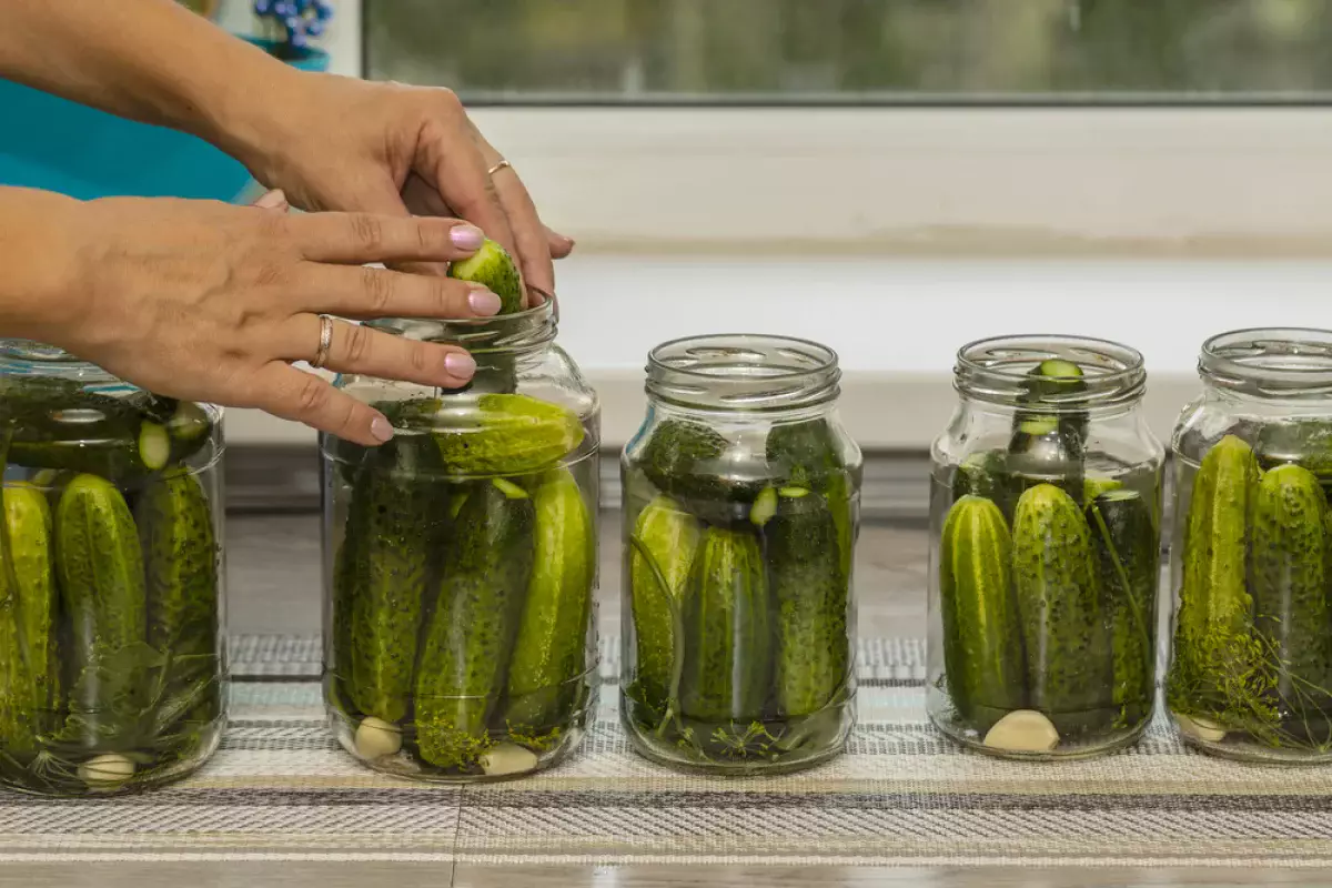 Маринованные, квашеные или соленые — какие огурцы полезнее?