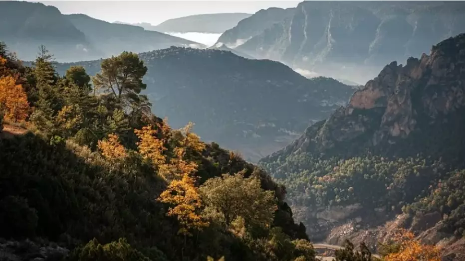 Мьянмада театр әртістері мінген автобус шатқалға құлап, 12 адам қаза тапты