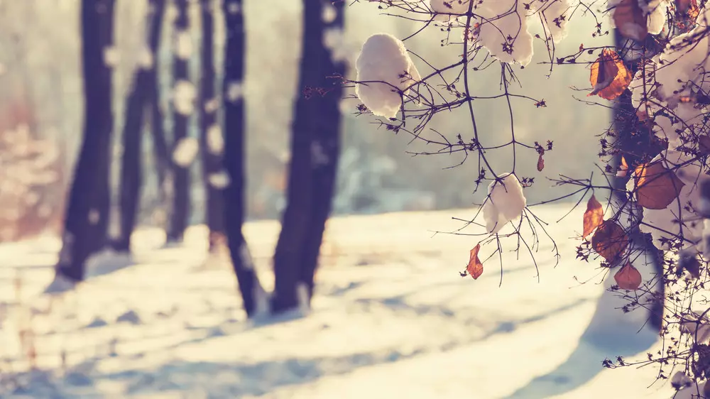 Туман сменится снегом: прогноз погоды в Казахстане на четверг, 29 января