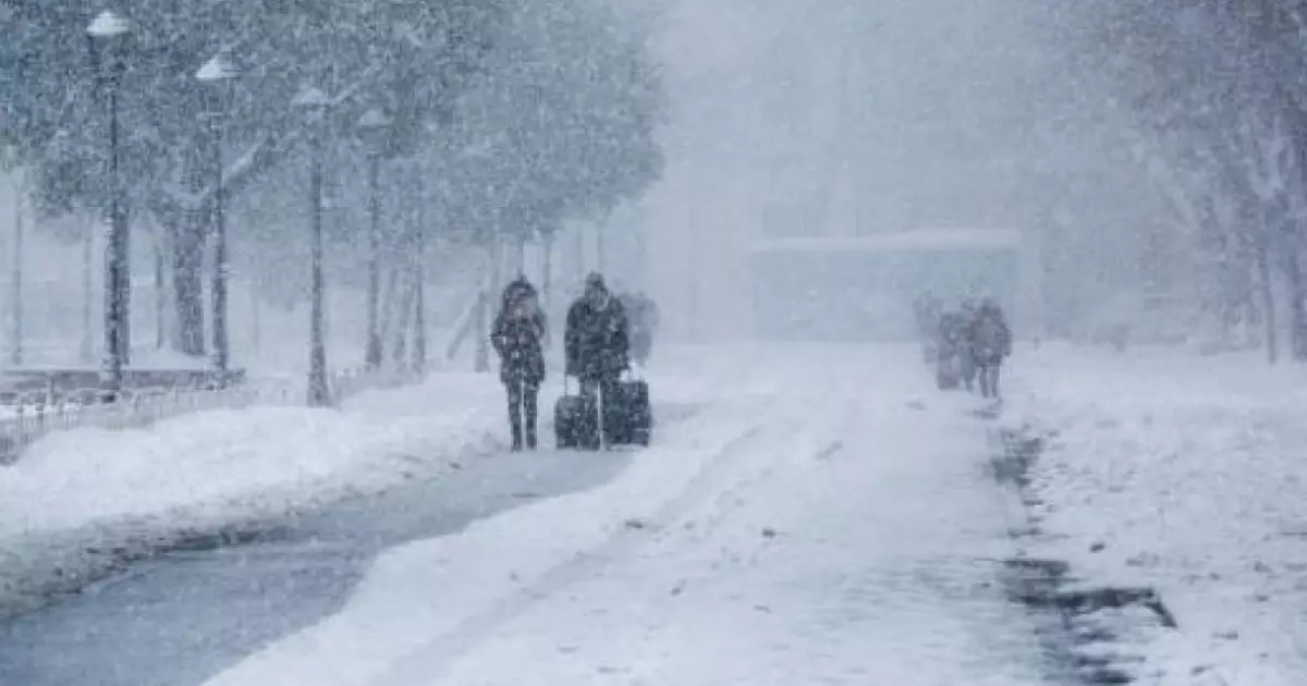  29 қаңтарға арналған ауа райы болжамы 