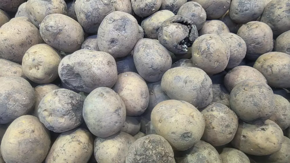 “Мы лучше переплатим“: что не так с овощами в Актобе