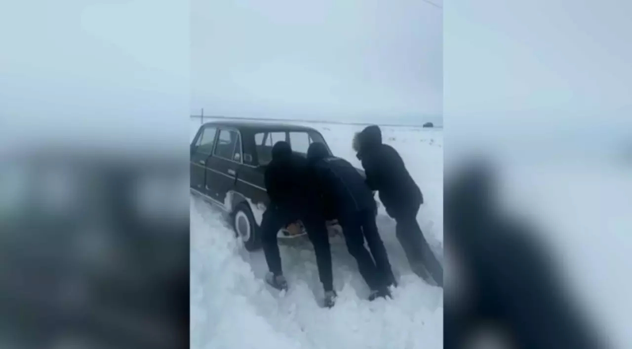 Арыста қар қалың түсті