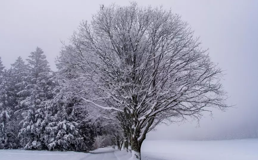 Снег ожидается в четверг в ряде регионов Казахстана