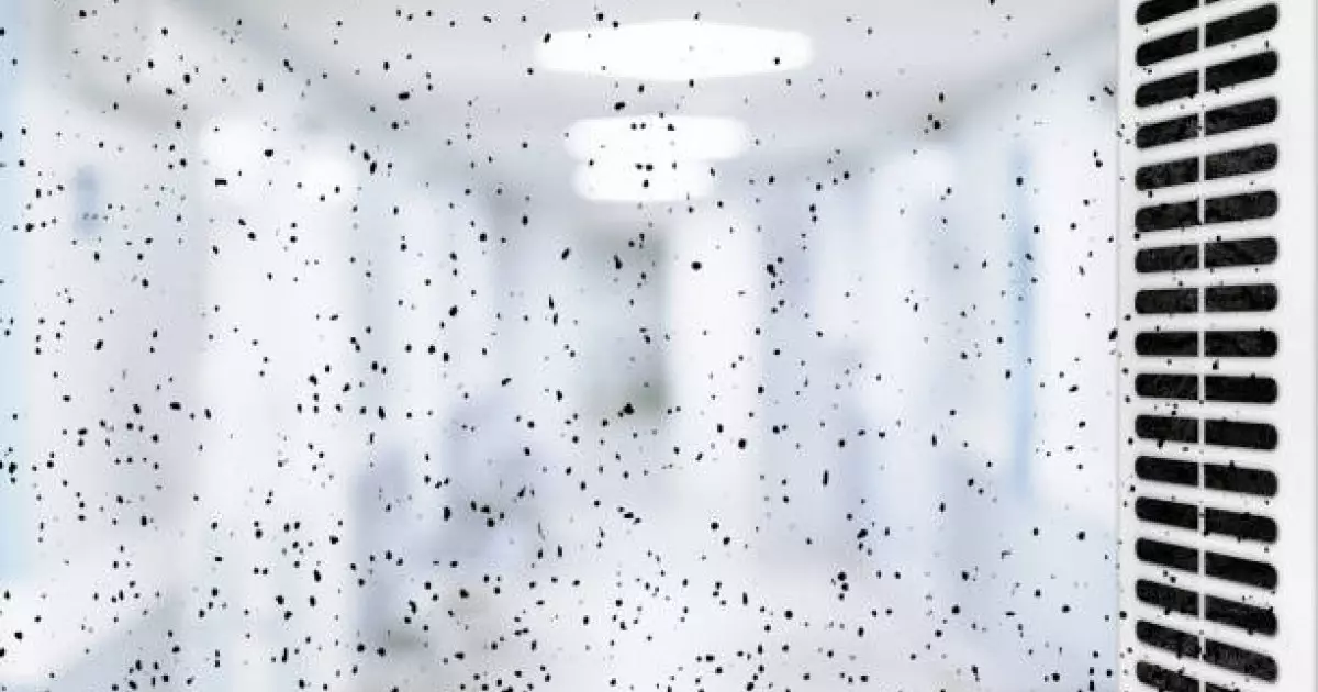  Бүгін қай қалада ауа сапасы нашарлайды 