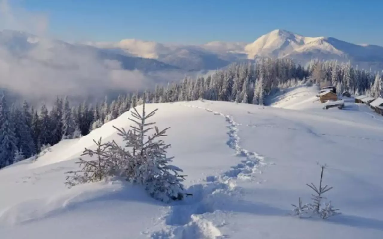 Морозы прогнозируют на севере и в центре Казахстана