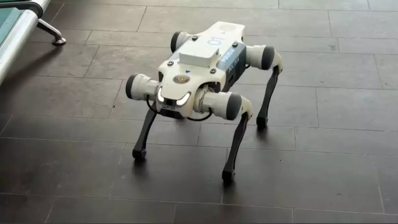 Полицияға робот-ит көмекке келді