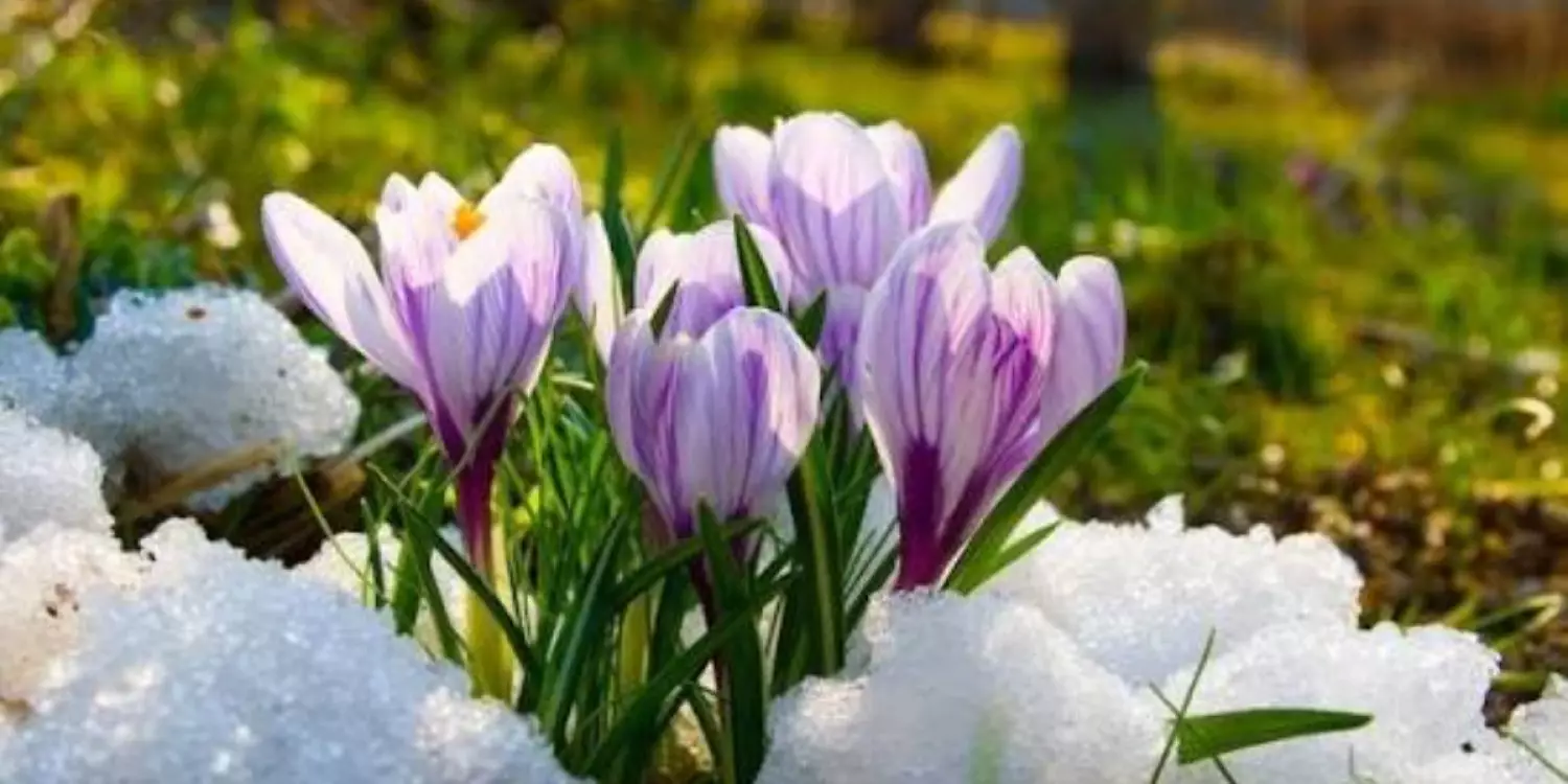 2026 жылдың наурызында қазақстандықтар қанша күн демалады