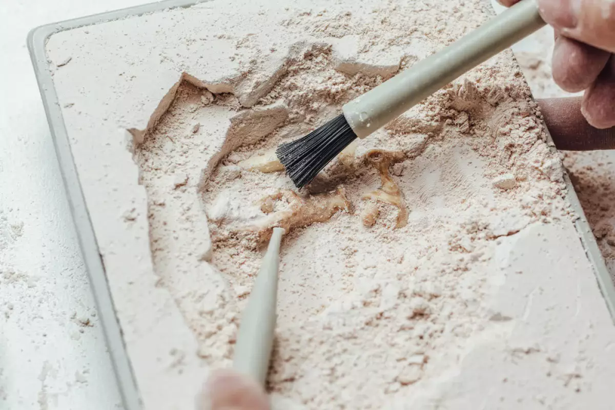 Археологические находки в Сарайшыке: археологи раскрыли тайны Золотой Орды