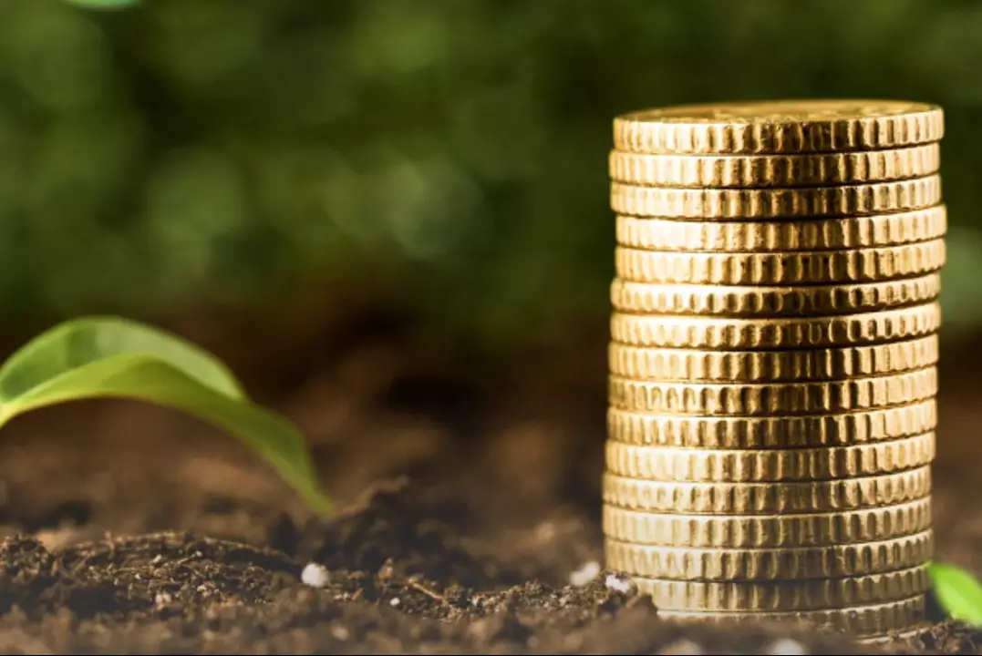 Аграриям Казахстана выделяют средства на посевную под 5% годовых