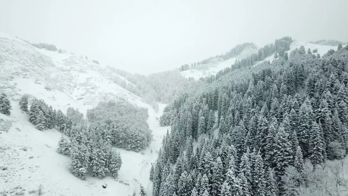 Штормовое предупреждение: туман и сильный ветер накроют Казахстан
