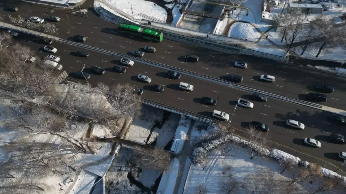 В Алматы при строительстве велопешеходного моста через Есентай высадят 80 крупномерных деревьев